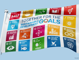 SDG Flag (3).png
