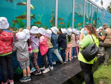 Centenas de crianças no Dia Mundial da Criança e Dia Mundial do Ambiente 