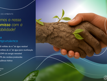 Dia Mundial do Ambiente: juntos, criamos impacto real