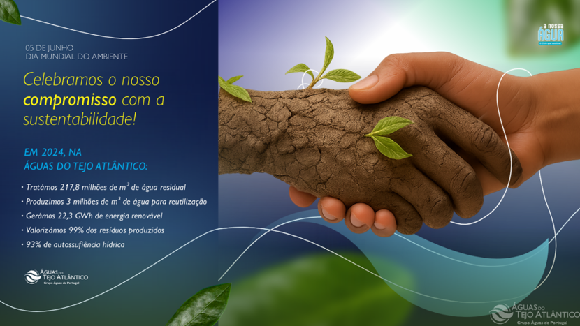 Dia Mundial do Ambiente: juntos, criamos impacto real