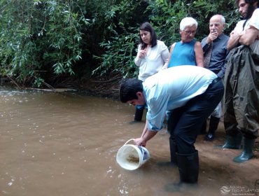 Peixes em perigo de extinção voltam ao meio natural 