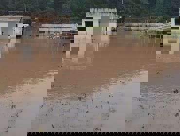 Resiliencia (6).jpeg