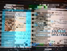 Webinar “Cuidar do Mar começa em Terra” (3).jpeg