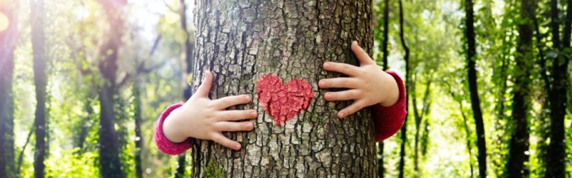 Agenda de atividades ambientais