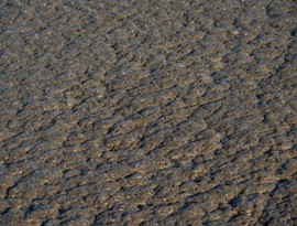 3_Estudo técnico económico da alteração do local da alimentação à desidratação de lamas na Fábrica de Água de Alcântara.jpg