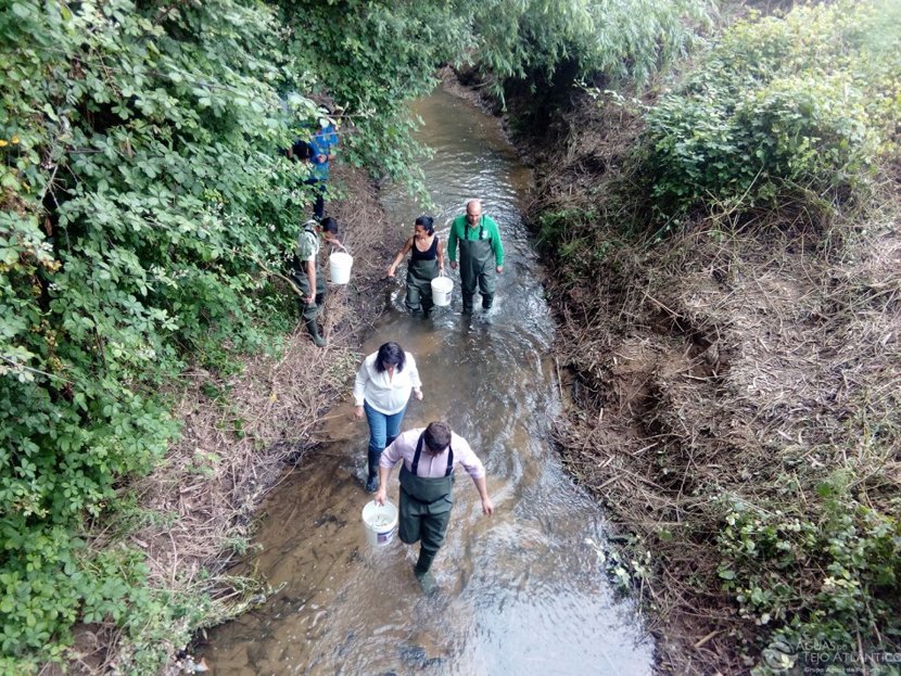 Peixes em perigo de extinção voltam ao meio natural
