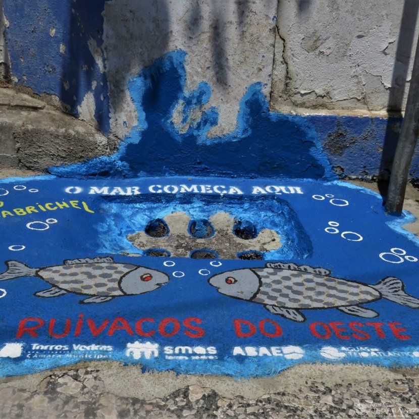 Vencedores da Edição 2022-2023 do Concurso "O Mar Começa Aqui" Anunciados pelo Programa Eco-Escolas