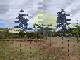 GESTEAUR_ AQUALIA E TEJOATLANTICO.jpg