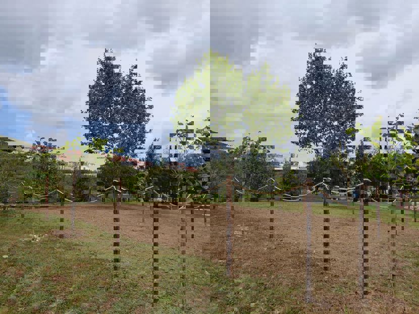 GESTEAUR_ AQUALIA E TEJOATLANTICO.jpg